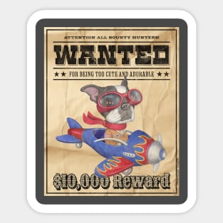 Funny Cute Boston Terrier Wanted Poster Sticker